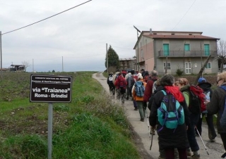  Excursiones grupales 